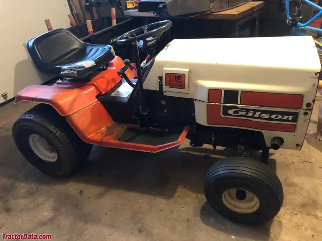 52081