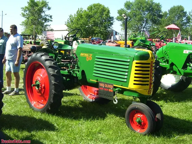 66