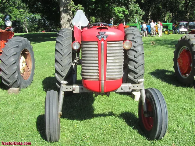 65