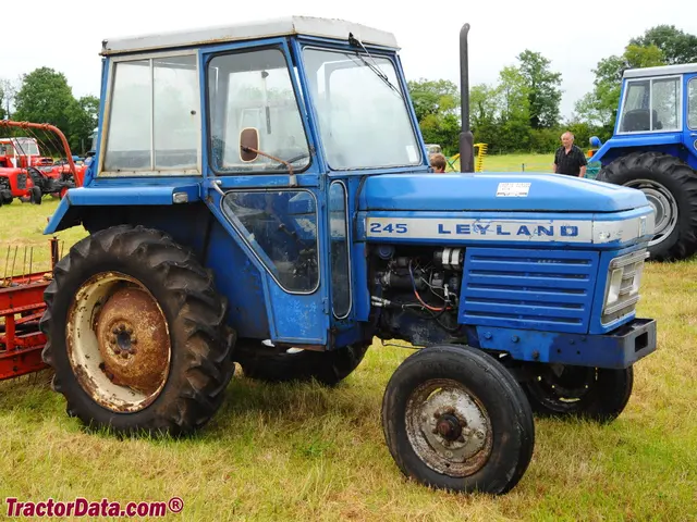 245