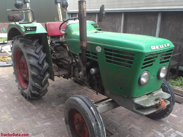 D 3006
