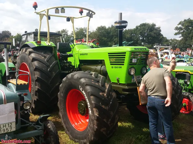 D 13006