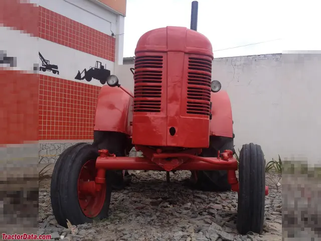 T31