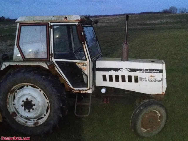 955