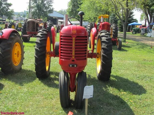 101 Junior