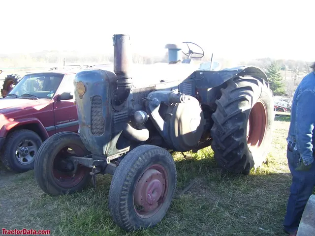 D5006