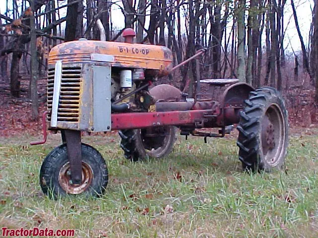 B1