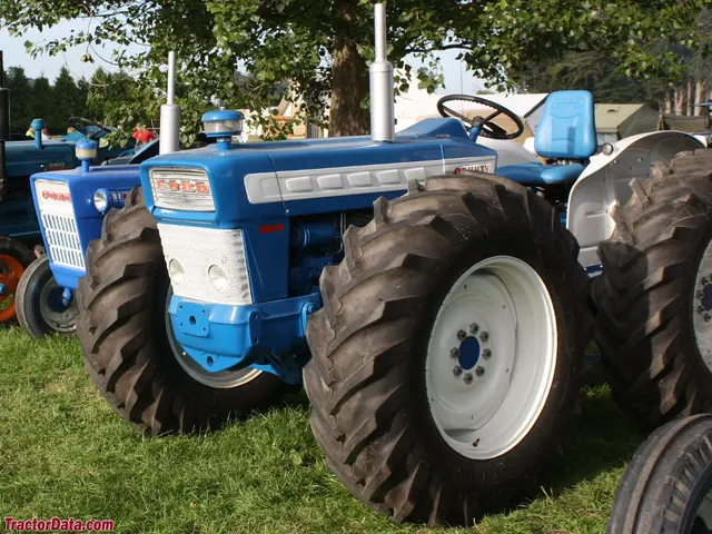 654