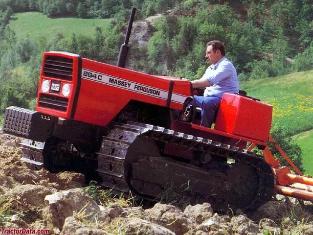 294C