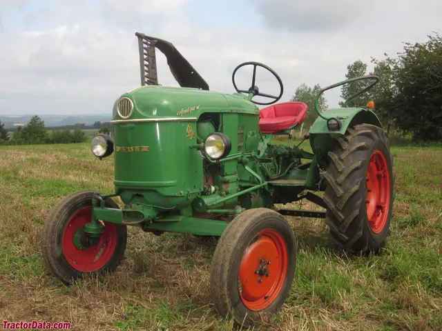 D 15