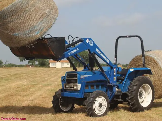 T6010