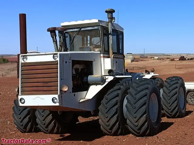 TM31