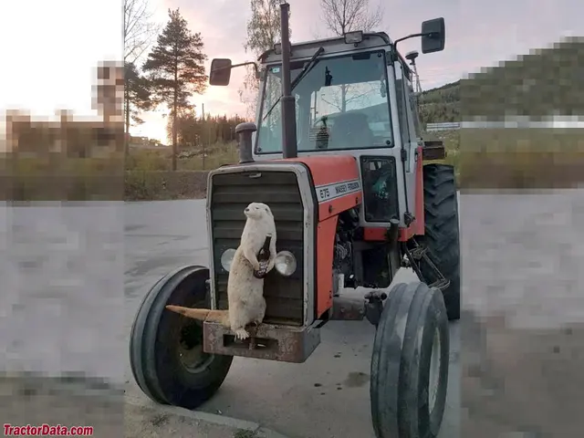 675